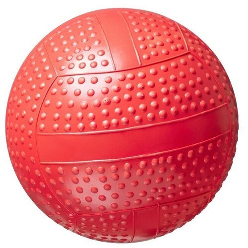 Мяч ЧПО имени В.И. Чапаева фактурный Р2-75, 75 см, разноцветный