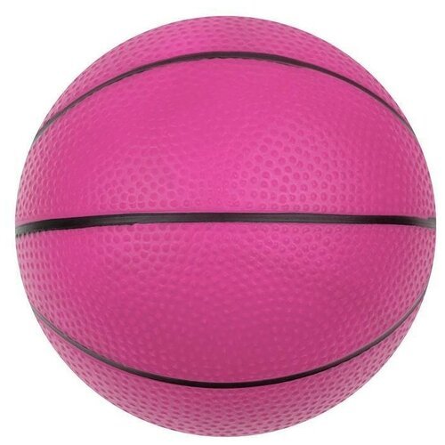 Мяч детский 'Баскетбол', диаметр 16 см, 70 г, в ассортименте, 1 шт.