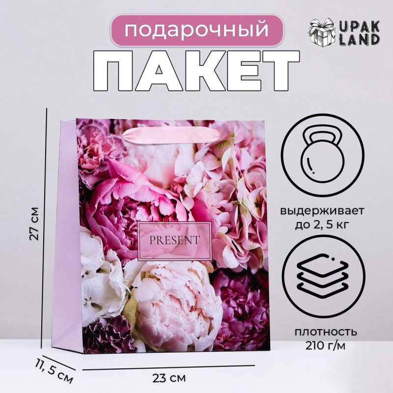 Пакет ламинированный вертикальный present, 23 х 27 х 11,5 см