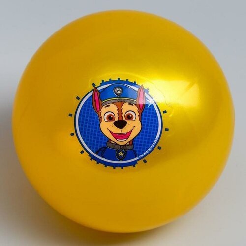 Paw Patrol Мяч детский Paw Patrol «Гончик», 16 см, 50 г, цвета микс