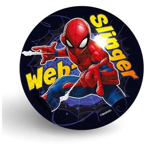 Мяч ND Play Человек-паук 300575, 22 см, черный/синий/красный