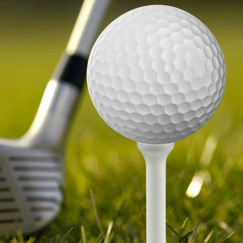 Набор подставок для гольф мяча, 10 штук, пластик, 1 х 7 см, белый цвет 9729994