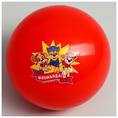 Мяч детский ТероПром 5083417, Paw Patrol Команда, диаметр 16 см, 50 г, товар без выбора конкретного цвета