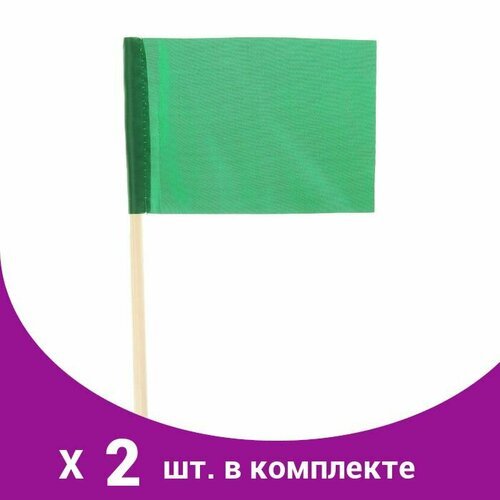 Флажок длина 25 см, 10x15, цвет зеленый (2 шт)