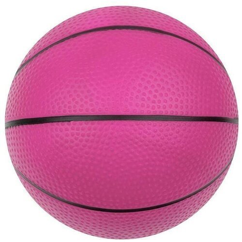 Мяч детский 'Баскетбол', диаметр 16 см, 70 г, в ассортименте, 1 шт.